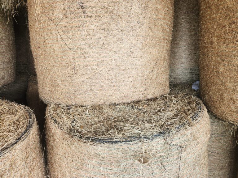 Hay For Sale In Florida Allhay