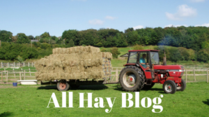 All Hay Blog