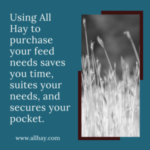 It is easy and quick to buy hay online with AllHay.com