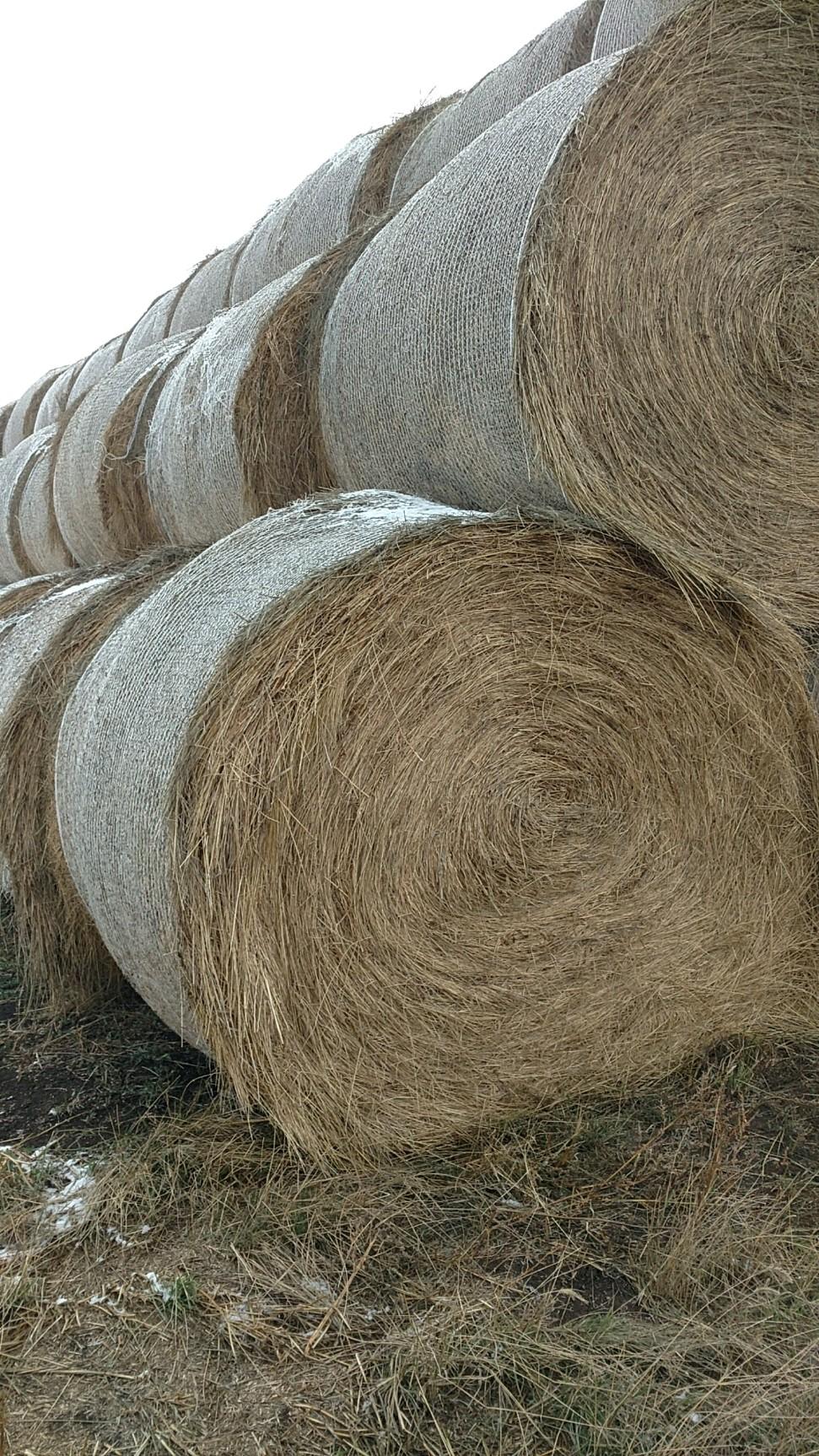 Hay for Sale North Dakota