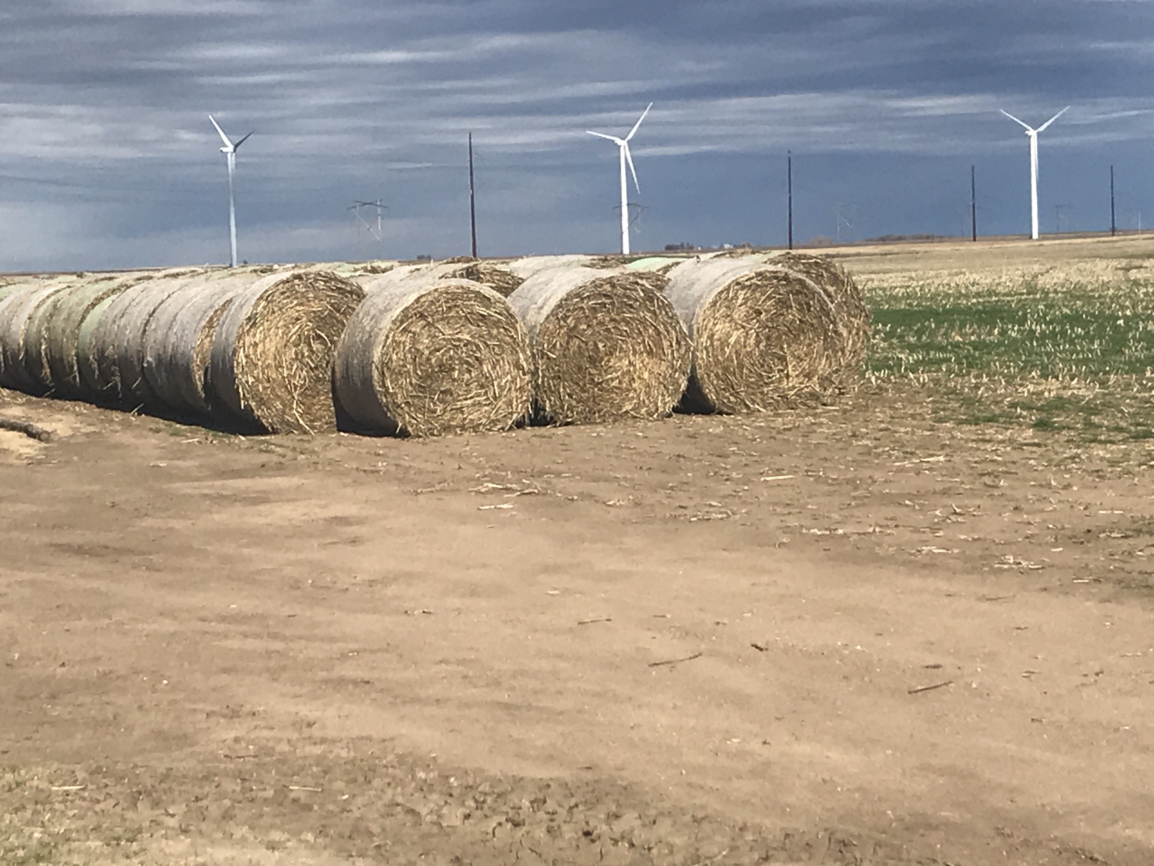 Hay for Sale Kansas