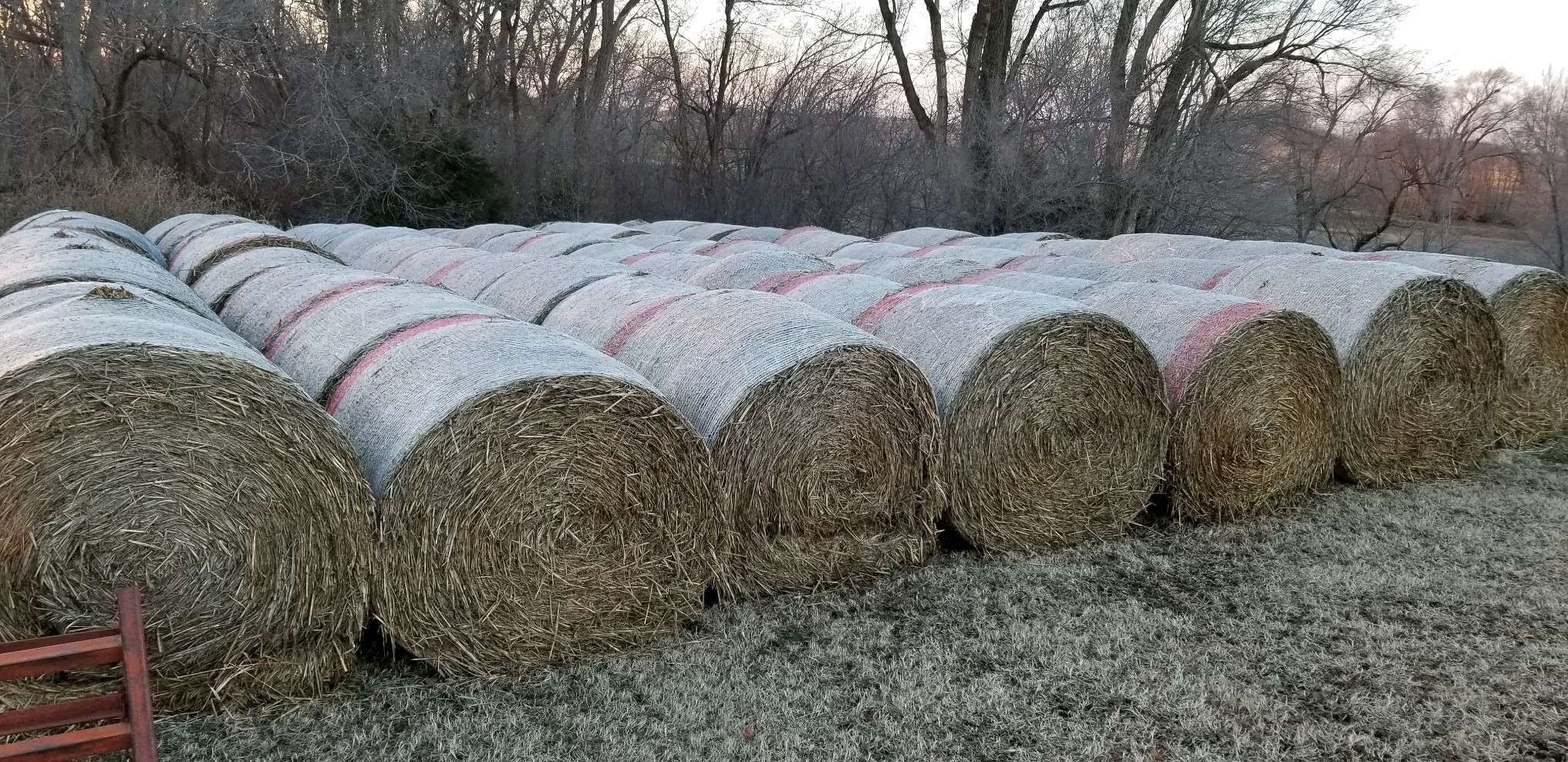 Hay for Sale - Kansas - AllHay.com