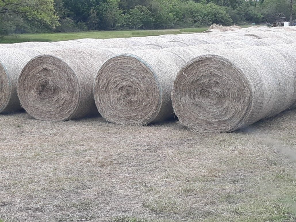 Hay Sale Texas