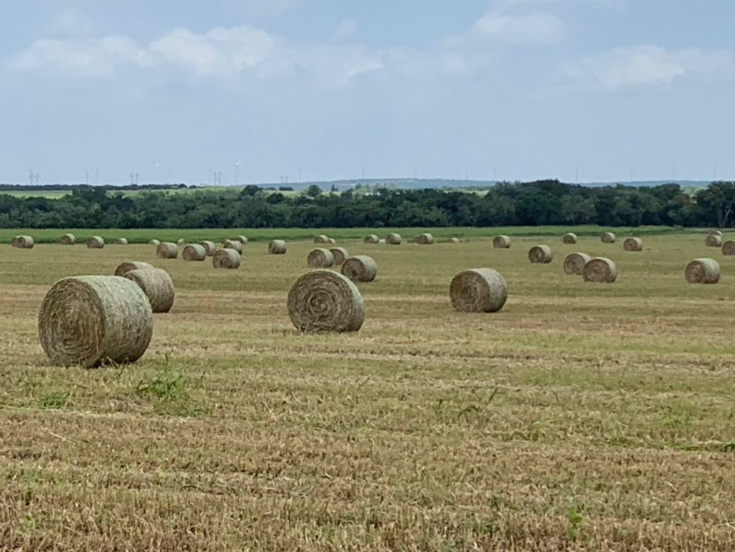 Hay Sale Texas