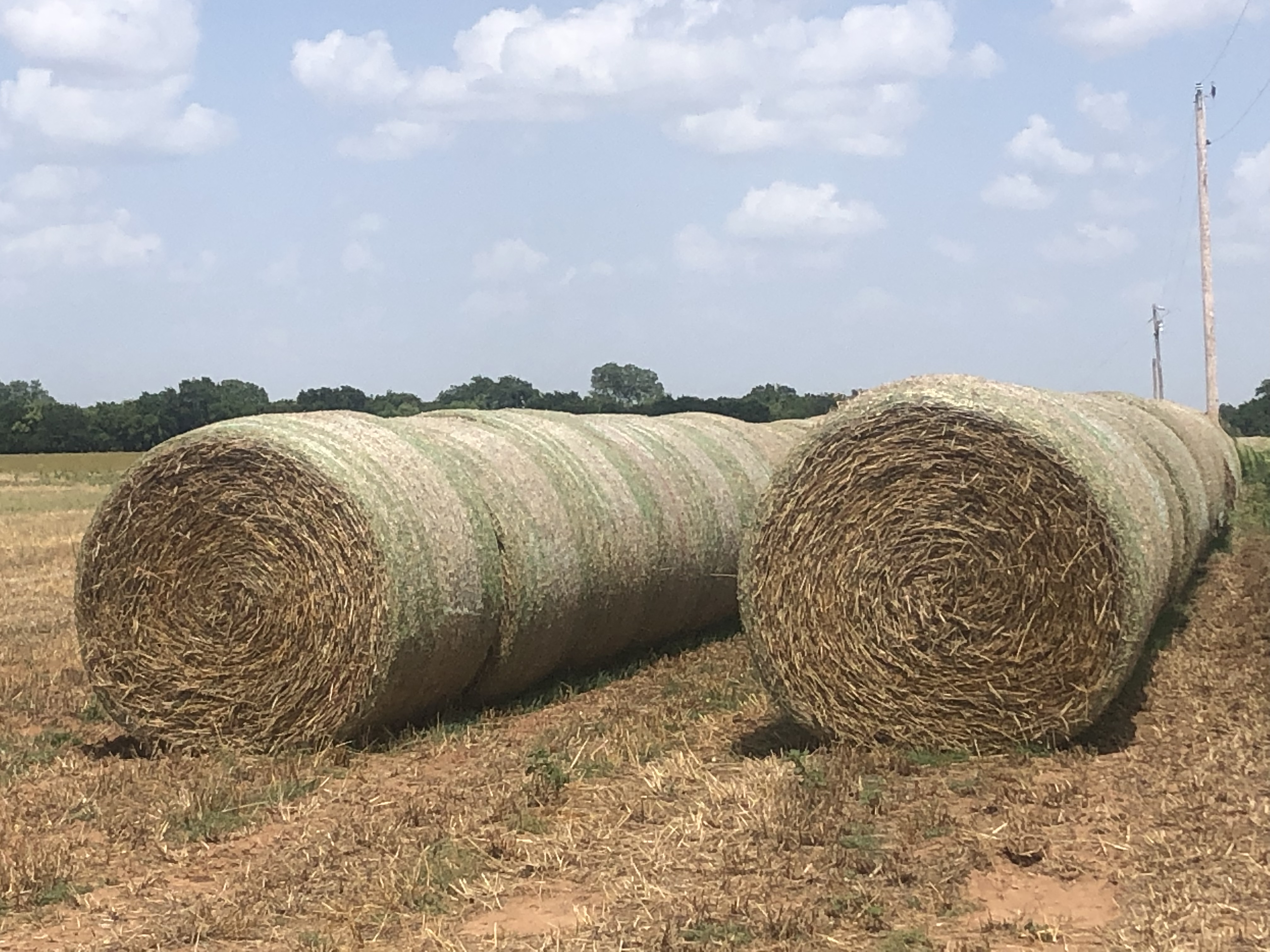 Hay for Sale Oklahoma