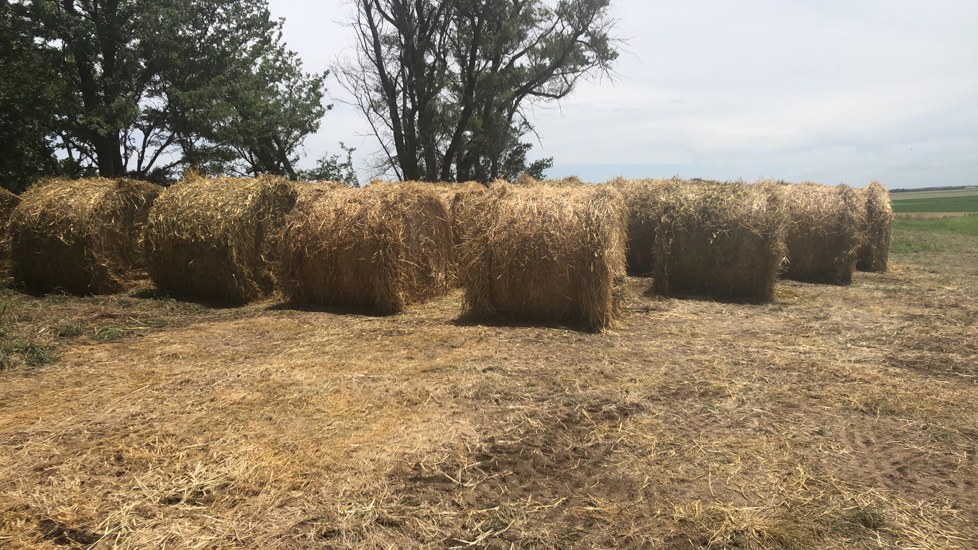 Hay for Sale Kansas