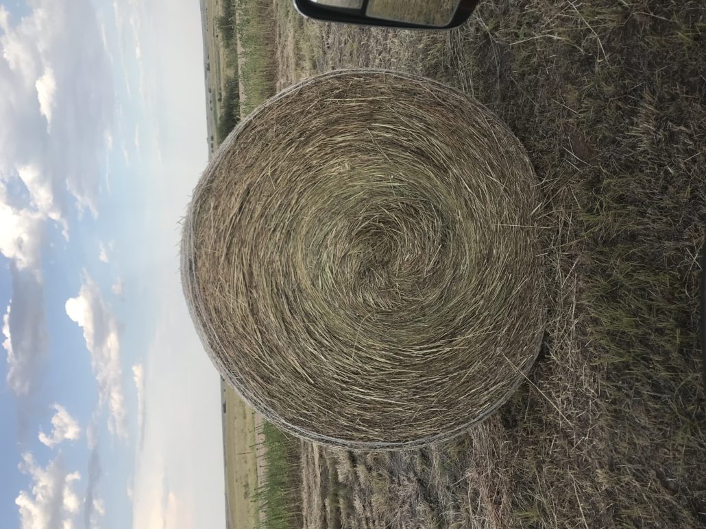 Hay for Sale Oklahoma