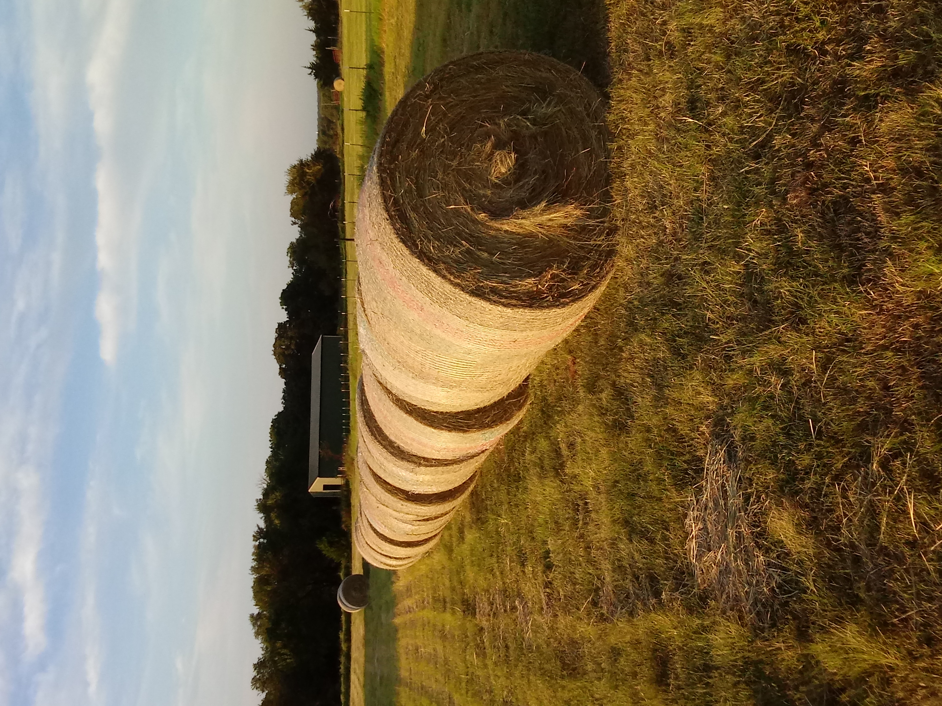 Hay for Sale Oklahoma