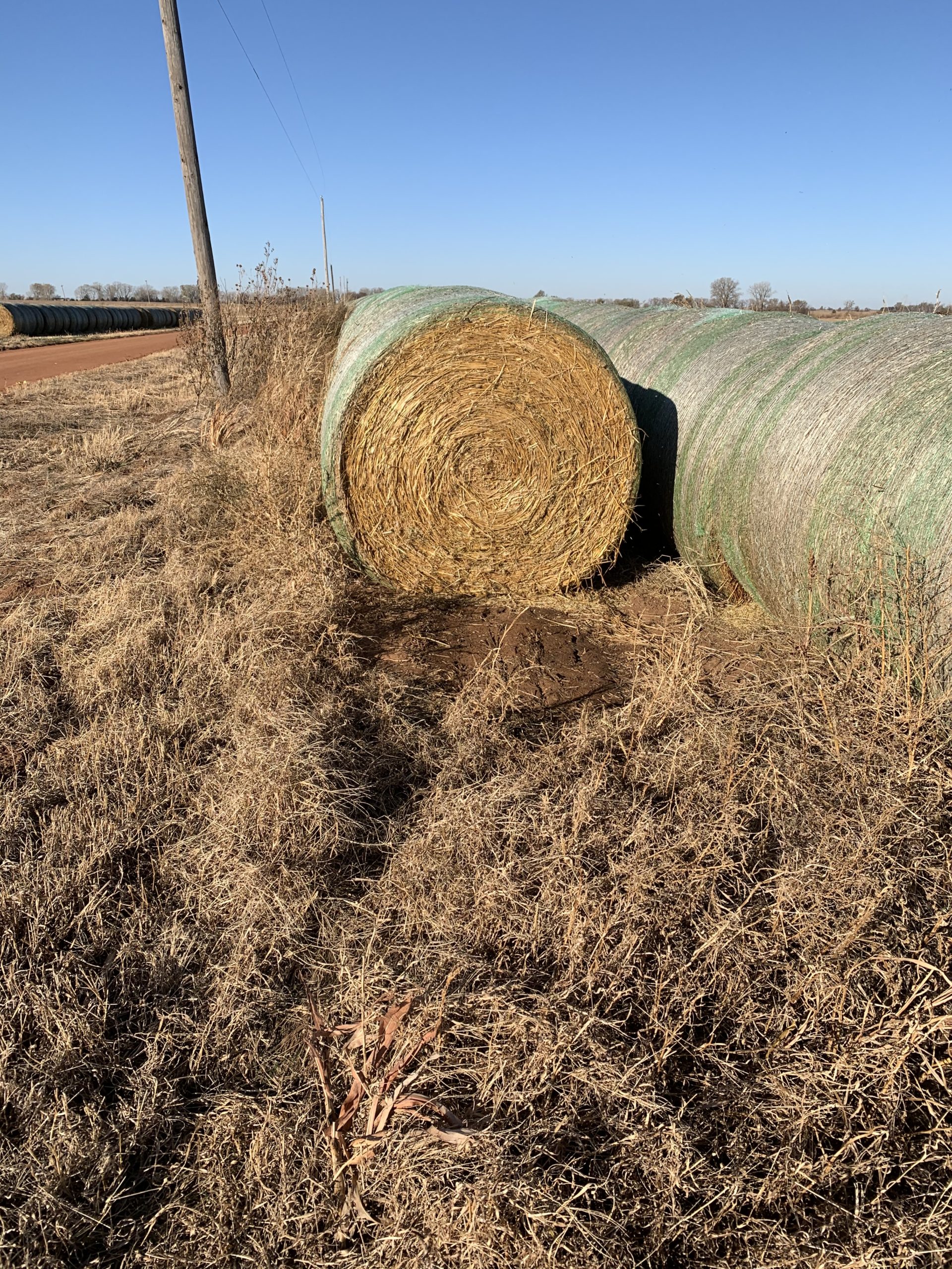 Hay for Sale Oklahoma