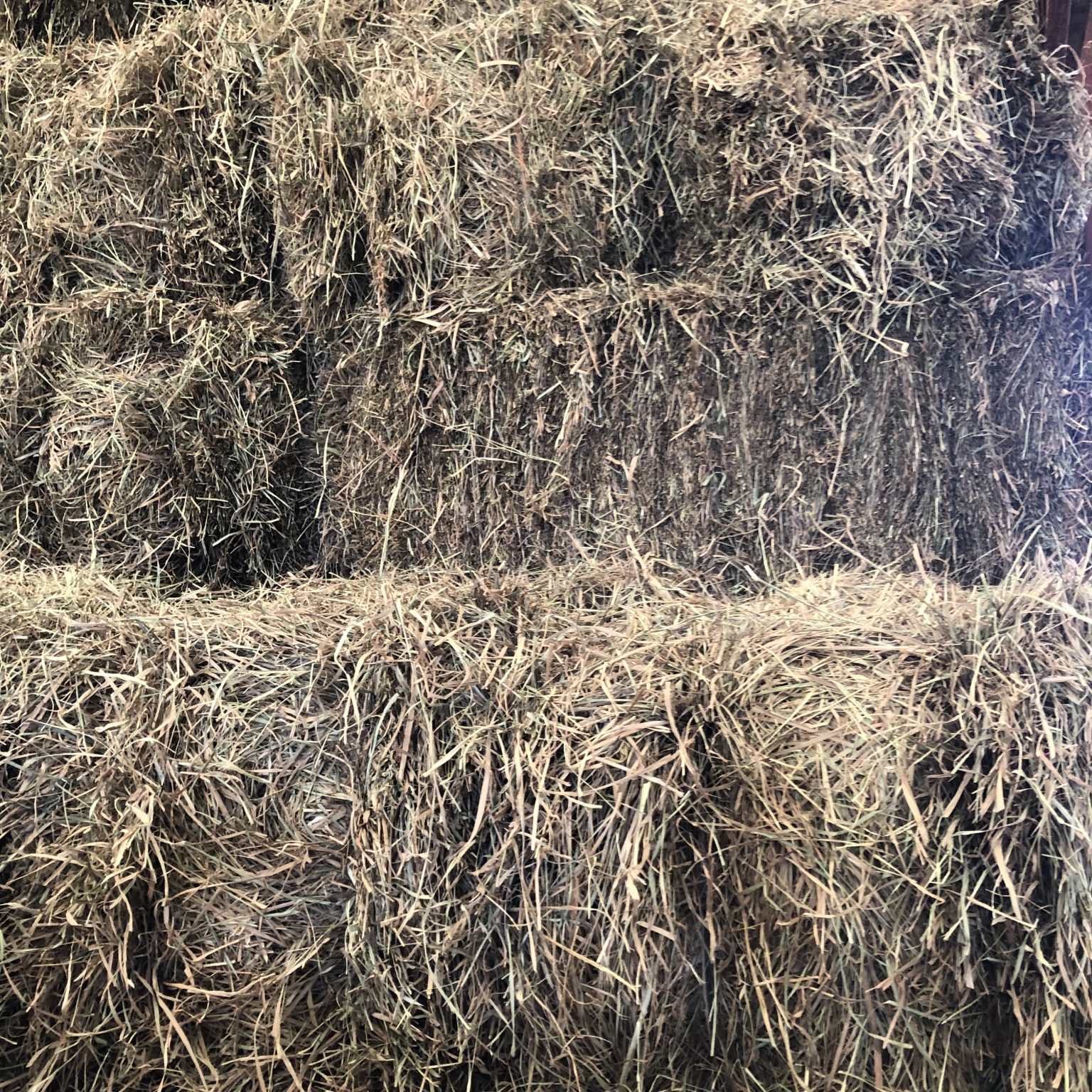 Hay for Sale Pennsylvania