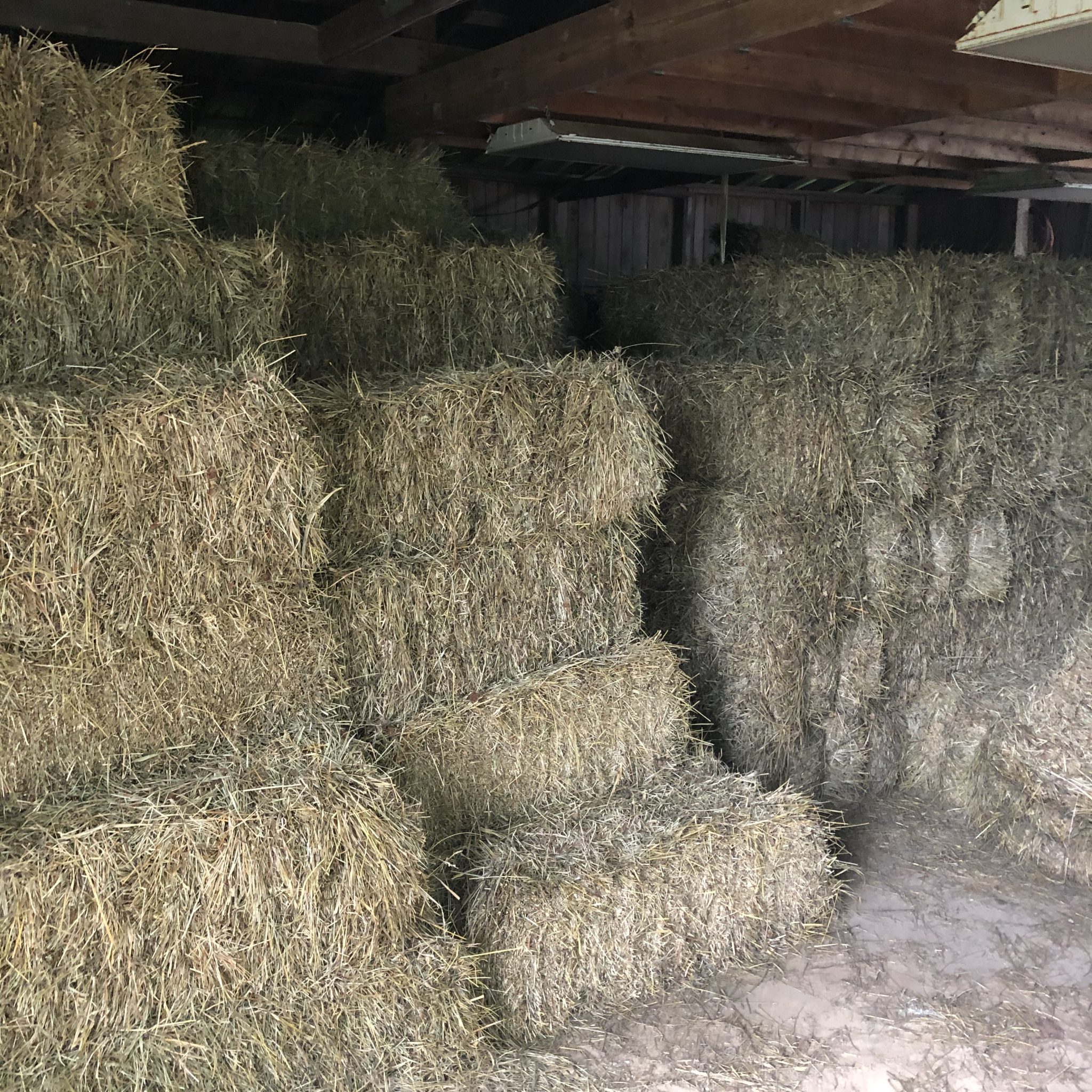 Hay for Sale Ohio