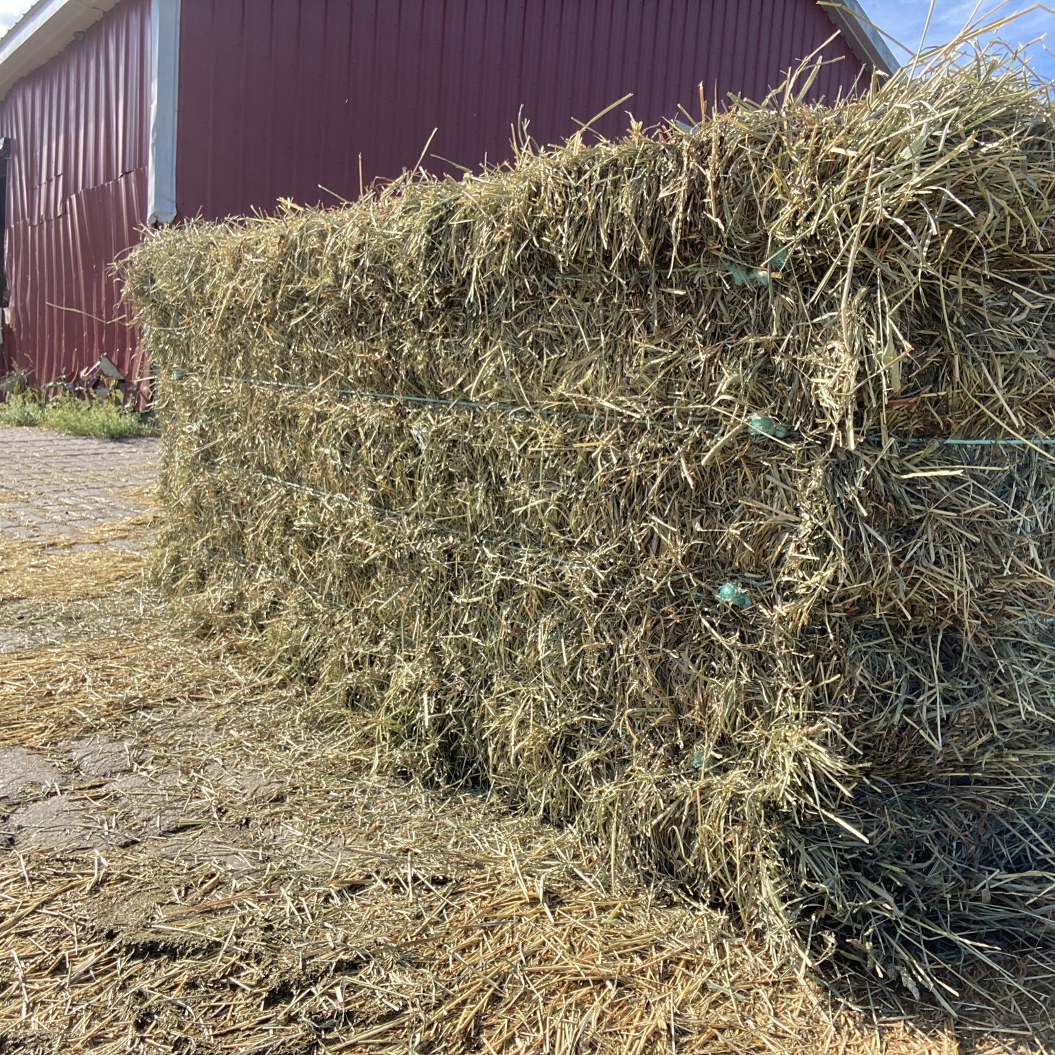 Hay for Sale - New York - AllHay.com