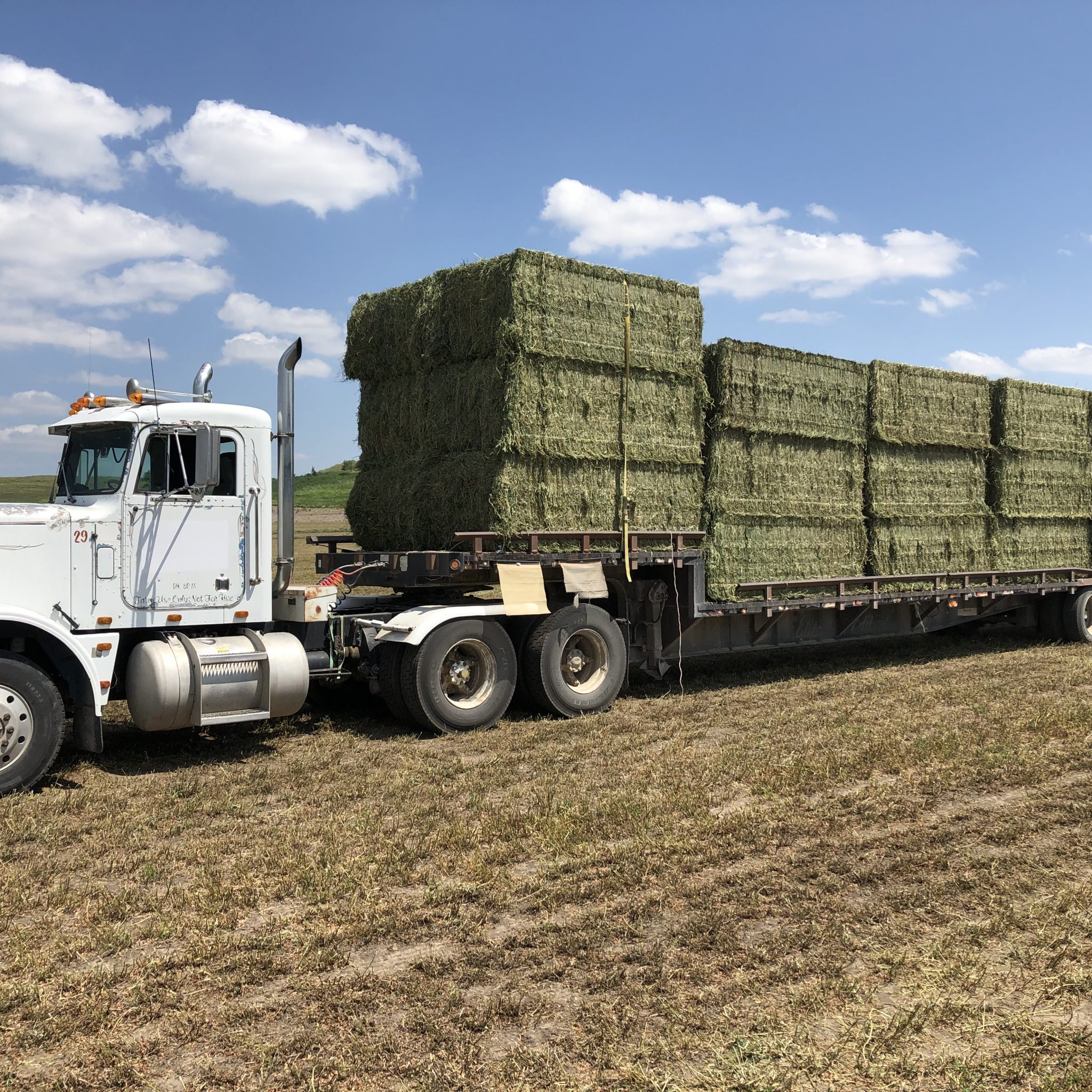 Hay for Sale Kansas