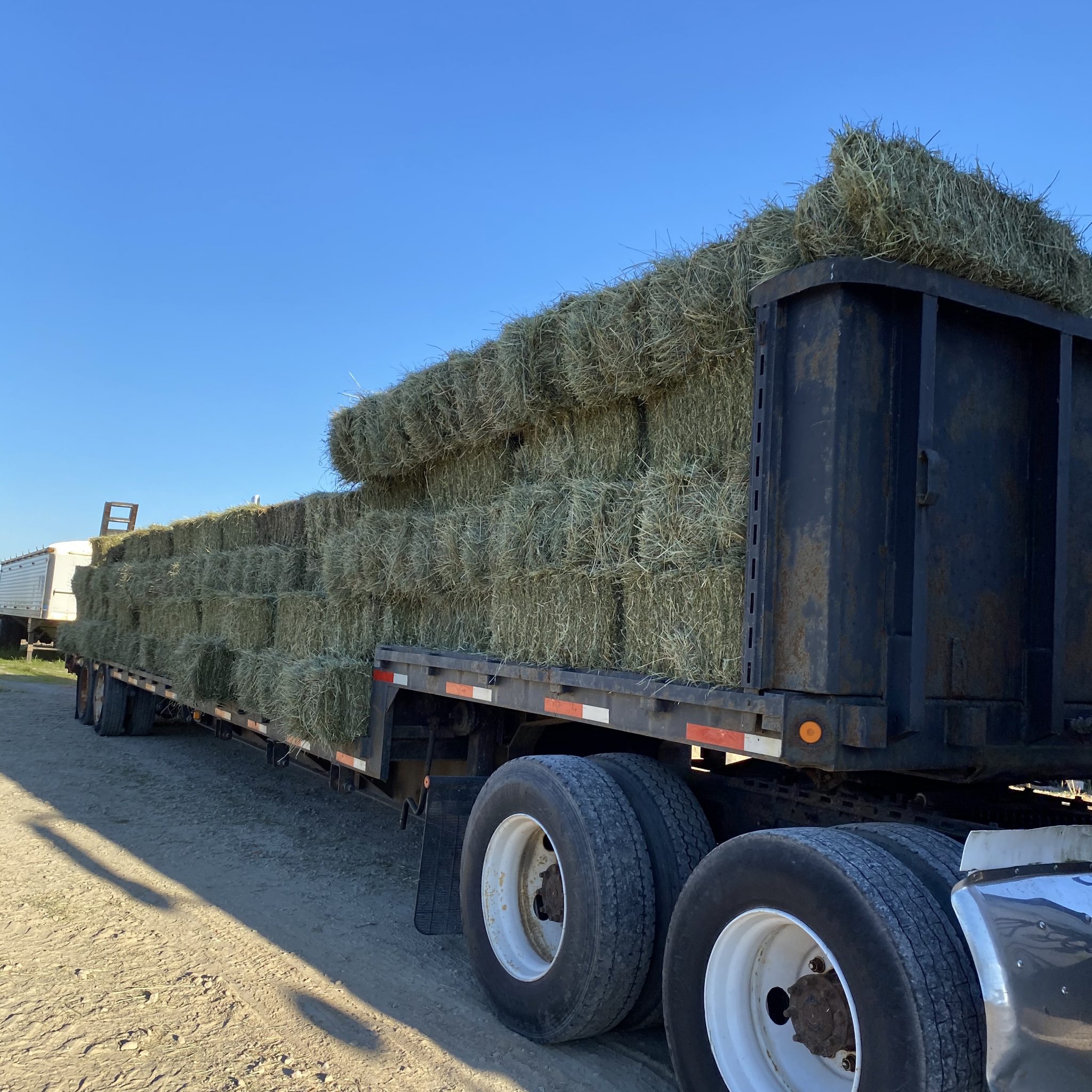 Timothy Hay for Sale Near Me