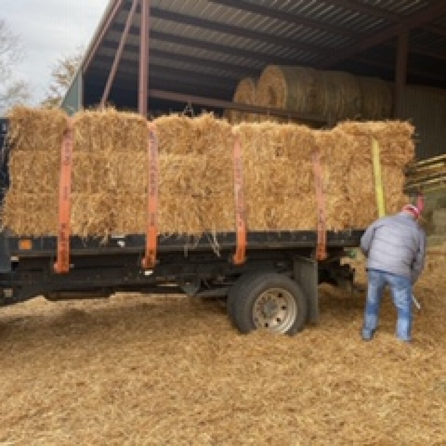 Hay for Sale South Carolina