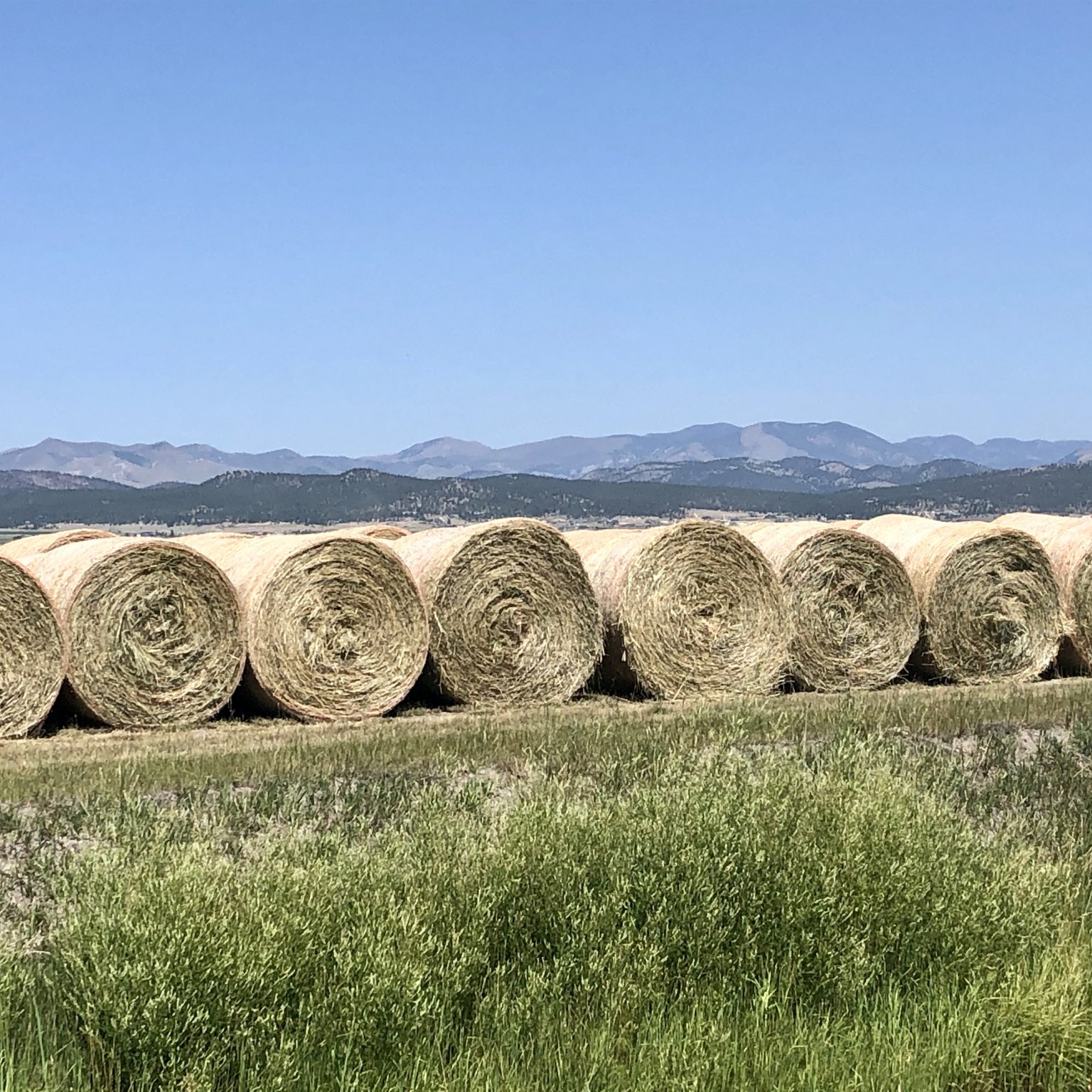 Hay for Sale Montana
