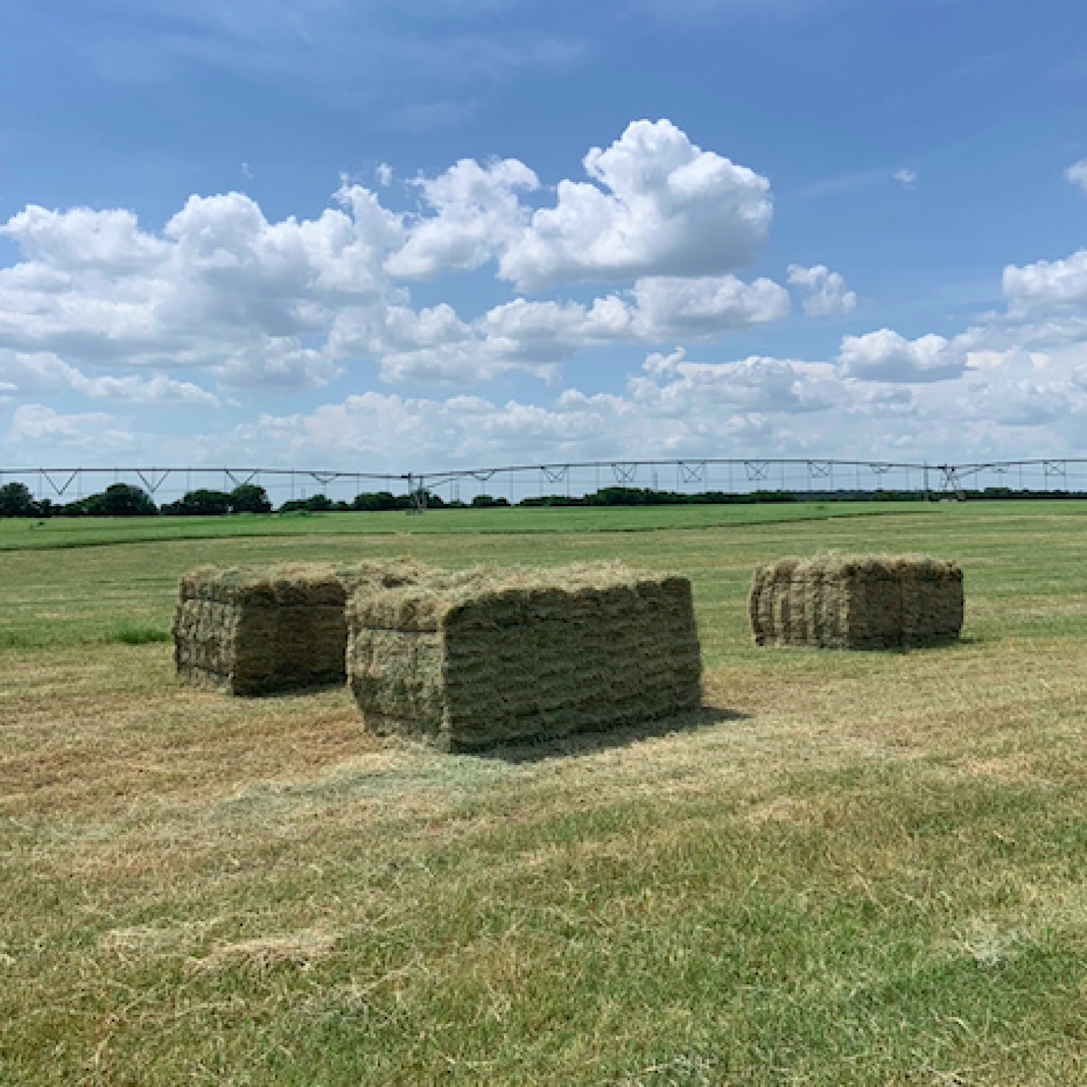 Hay Sale Texas