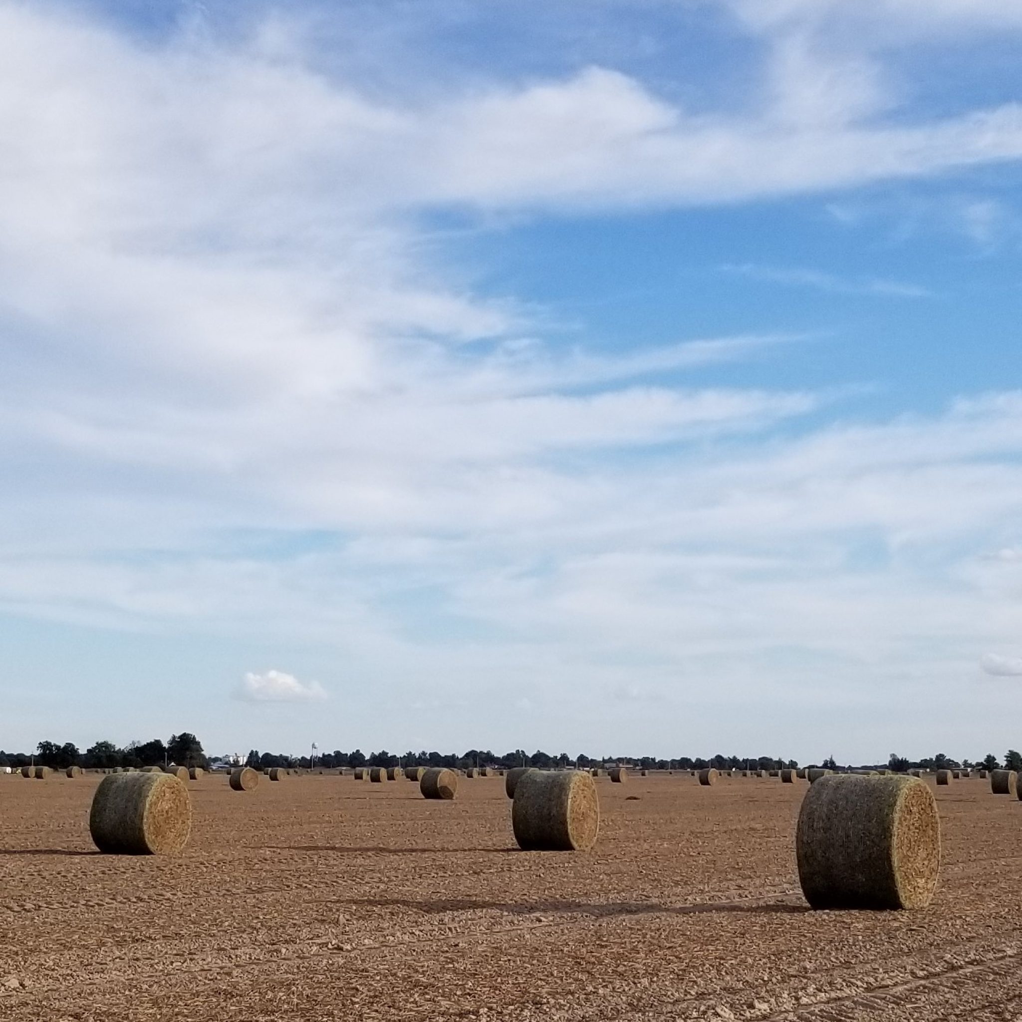 Hay for Sale Missouri