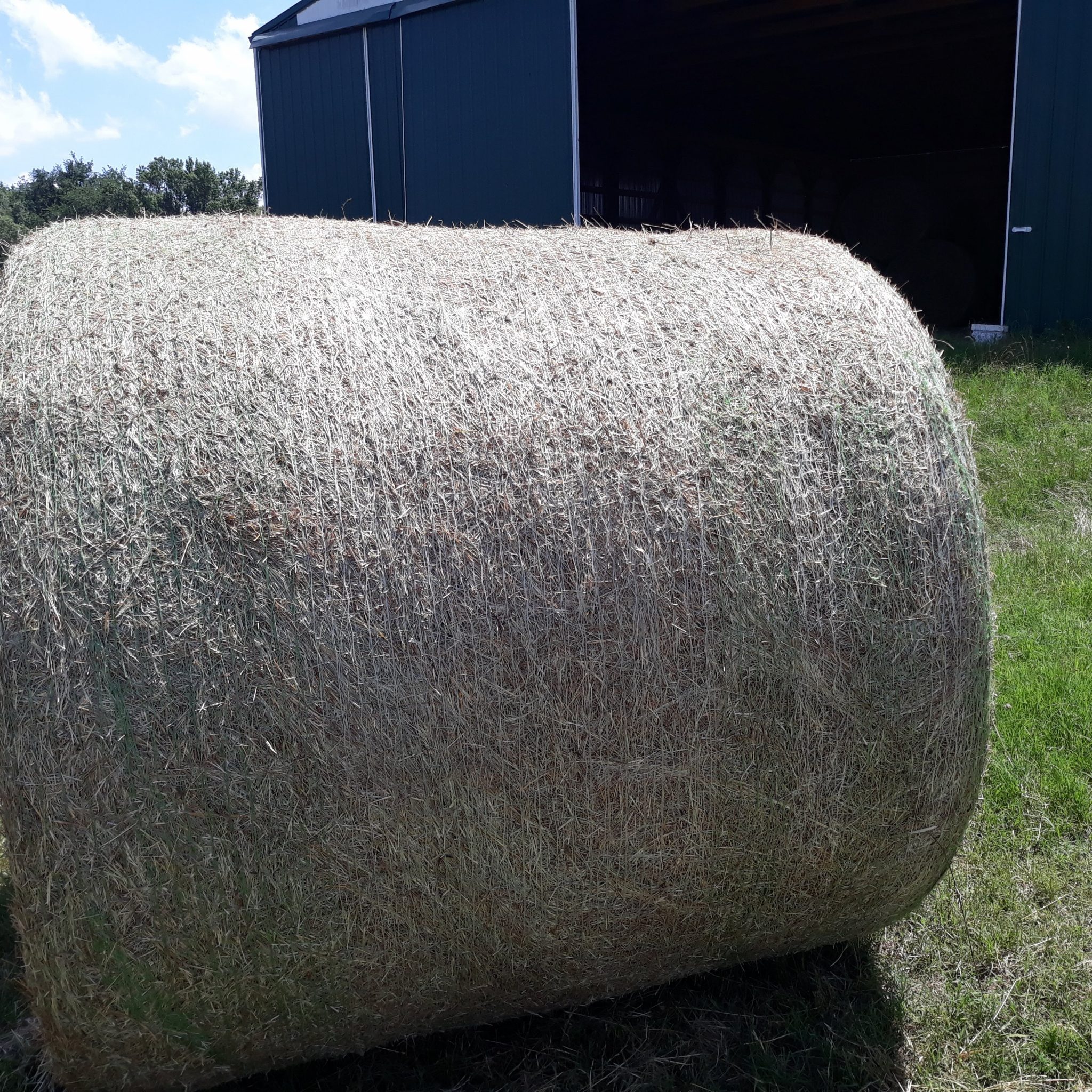 Hay Sale Texas