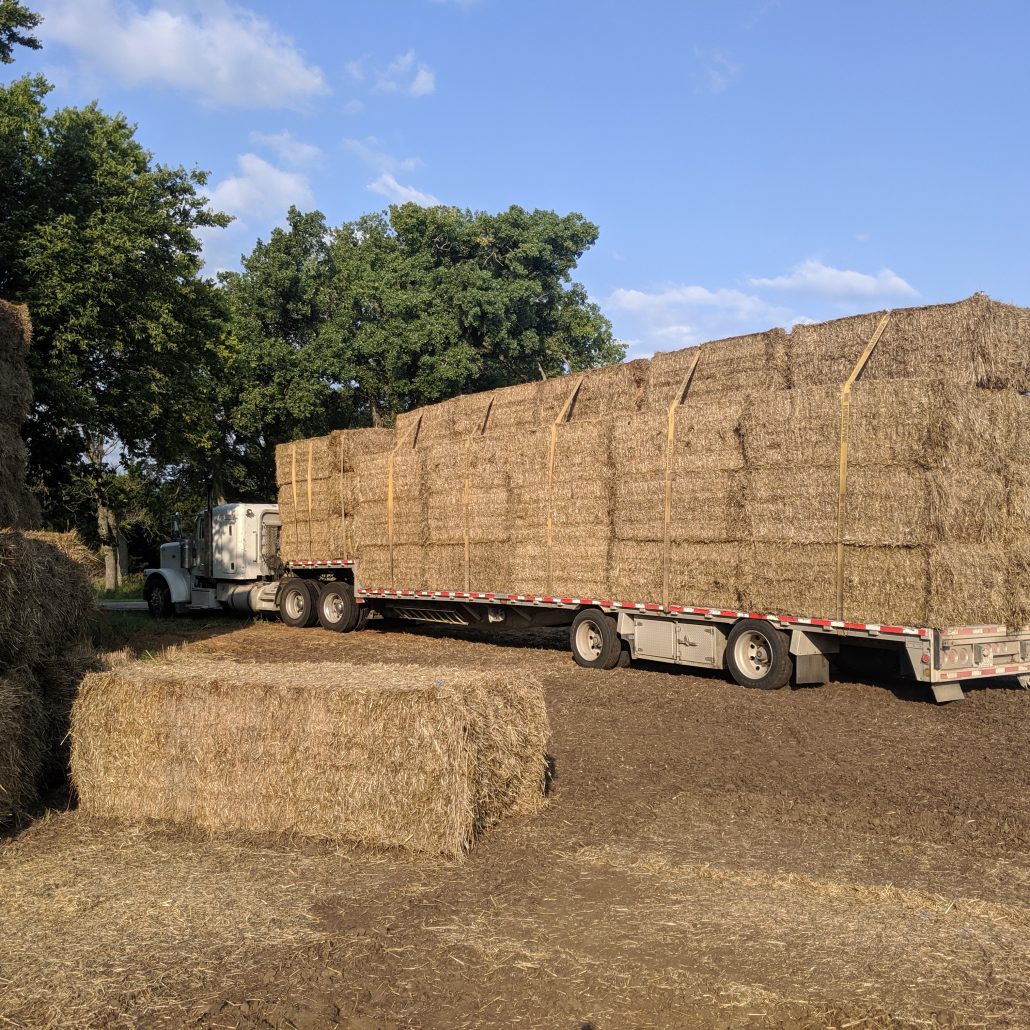 Straw Bales for Sale