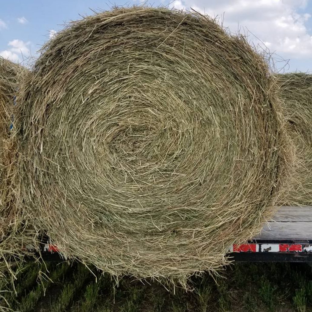 Hay for Sale Illinois