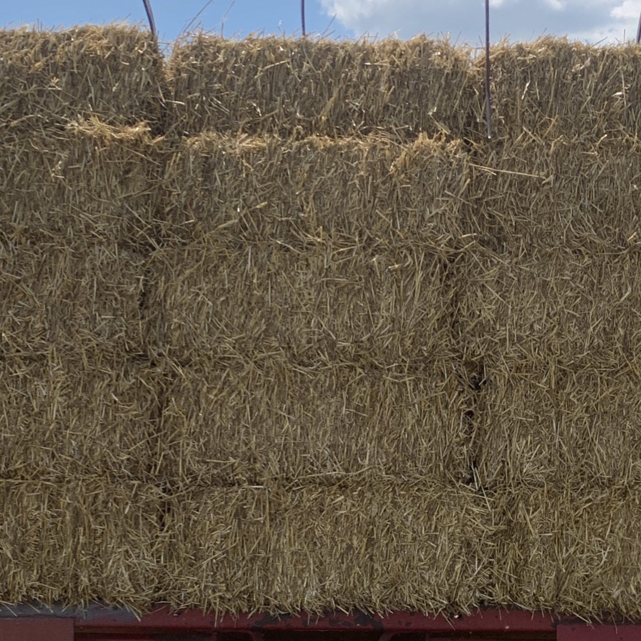 Straw Bales for Sale