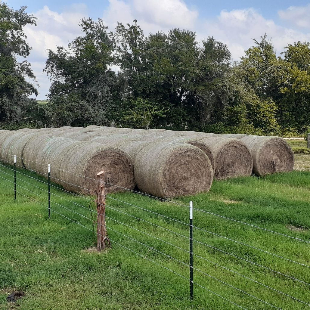 Hay Sale Texas