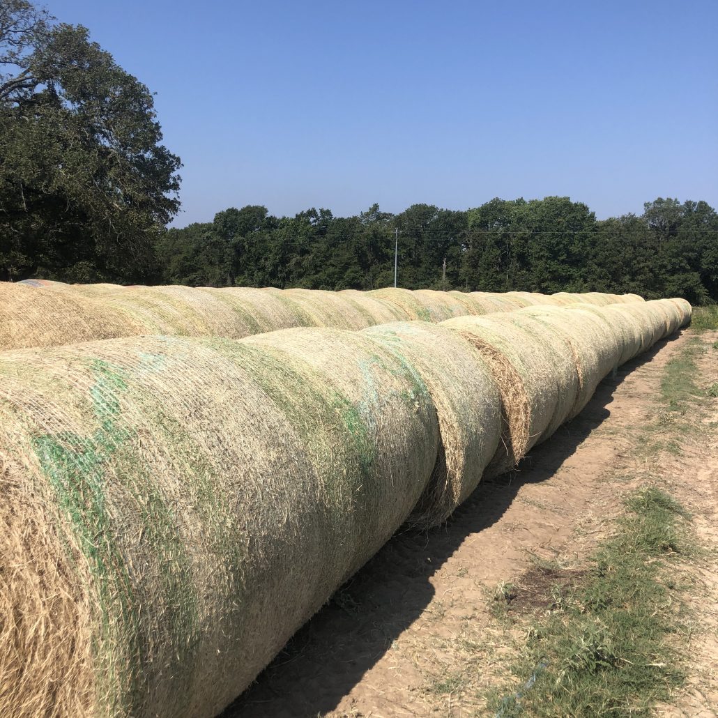 Hay Sale Texas