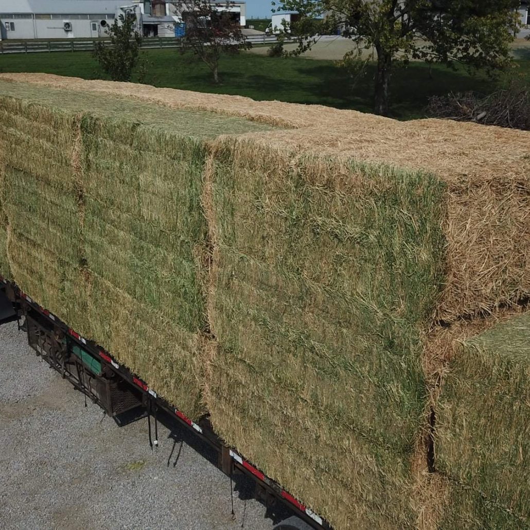 Hay for Sale Wyoming