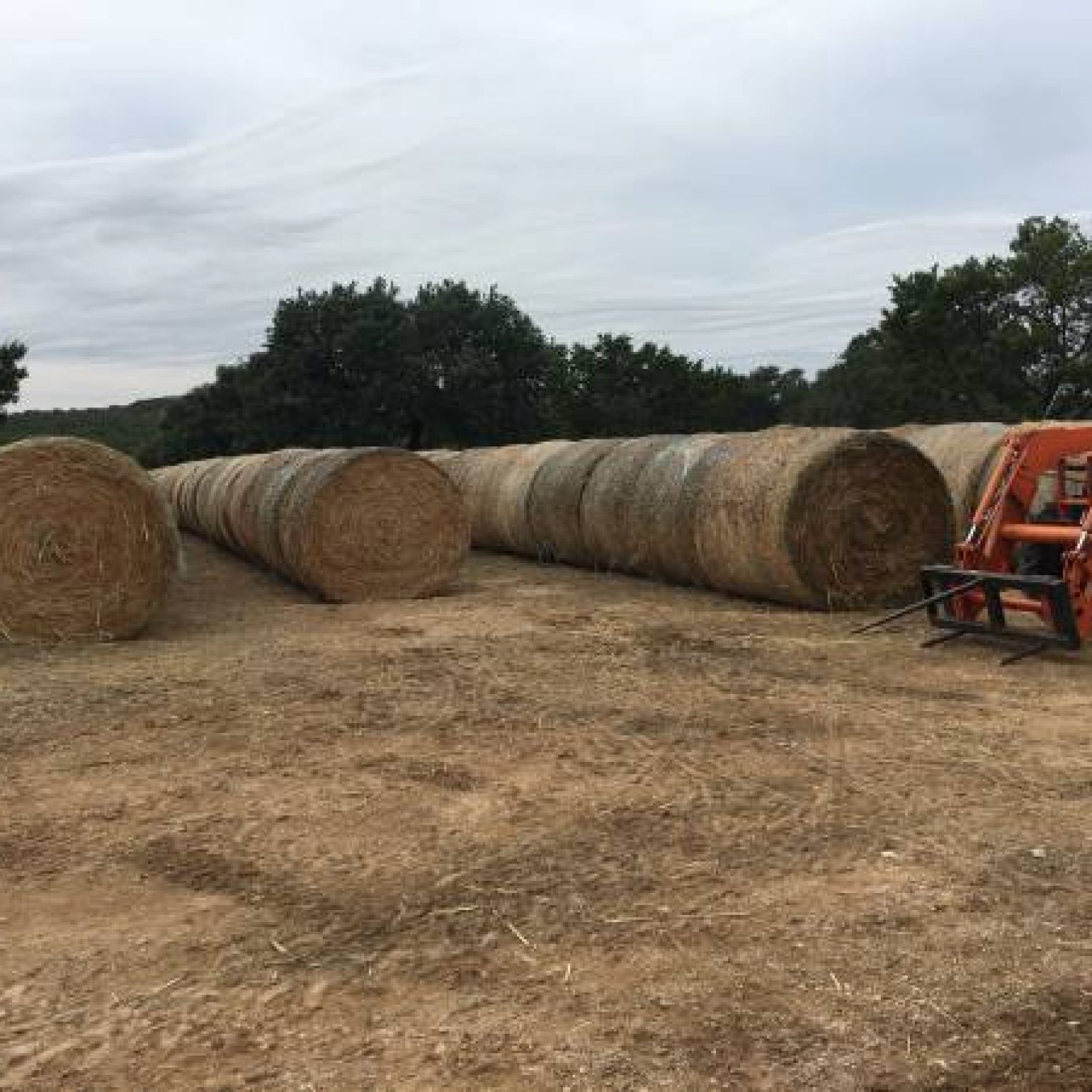 Hay Sale Texas