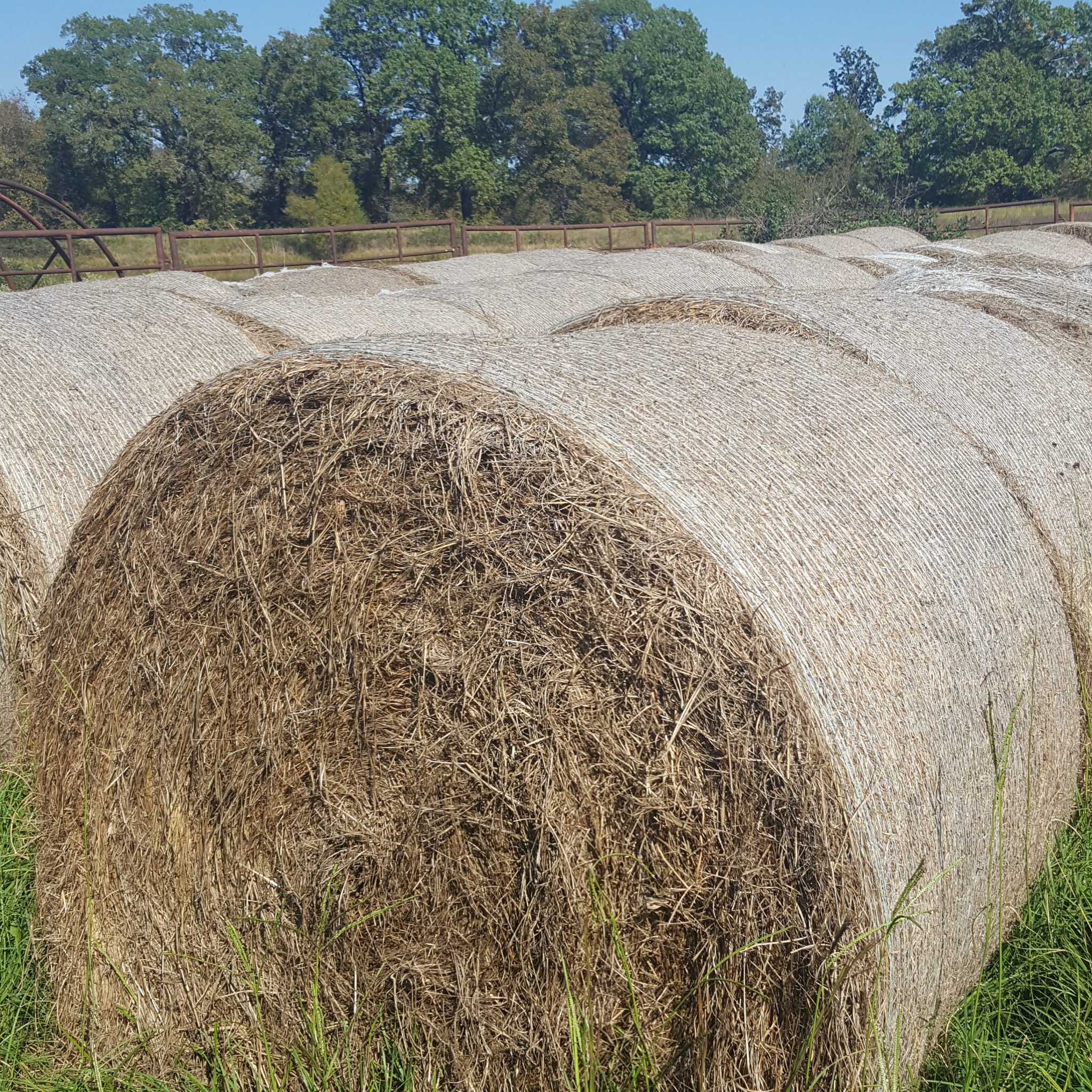 Hay For Sale in Oklahoma