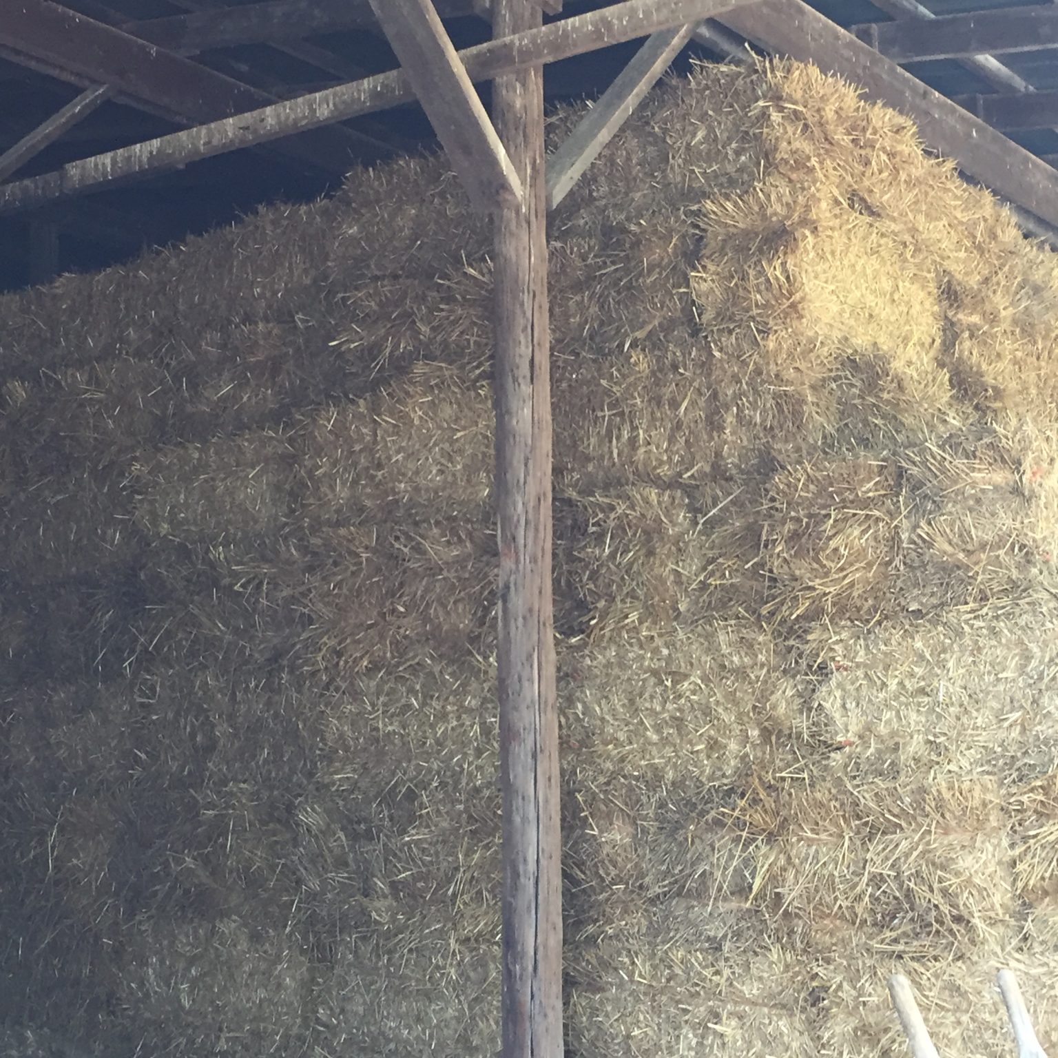Hay For Sale in Missouri