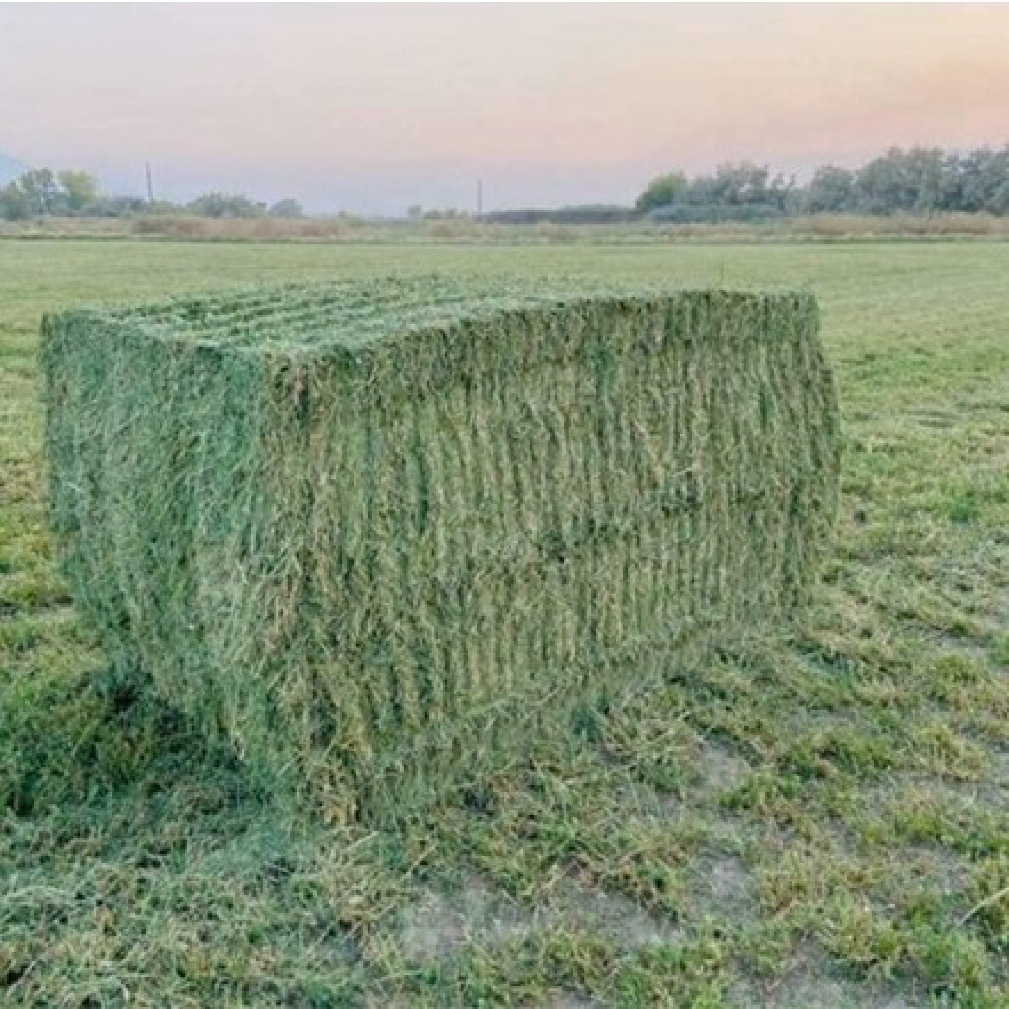 Hay For Sale in Utah