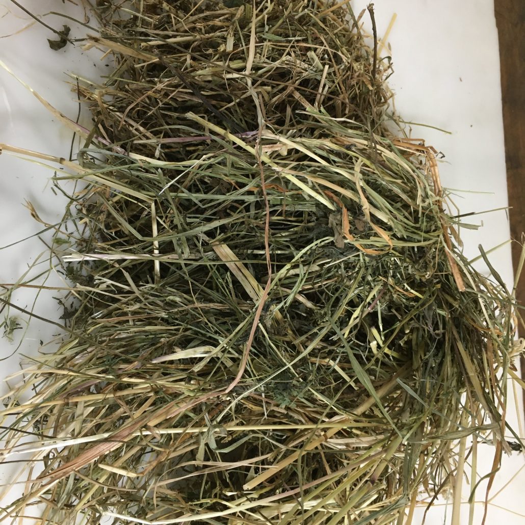 Hay For Sale in Wisconsin