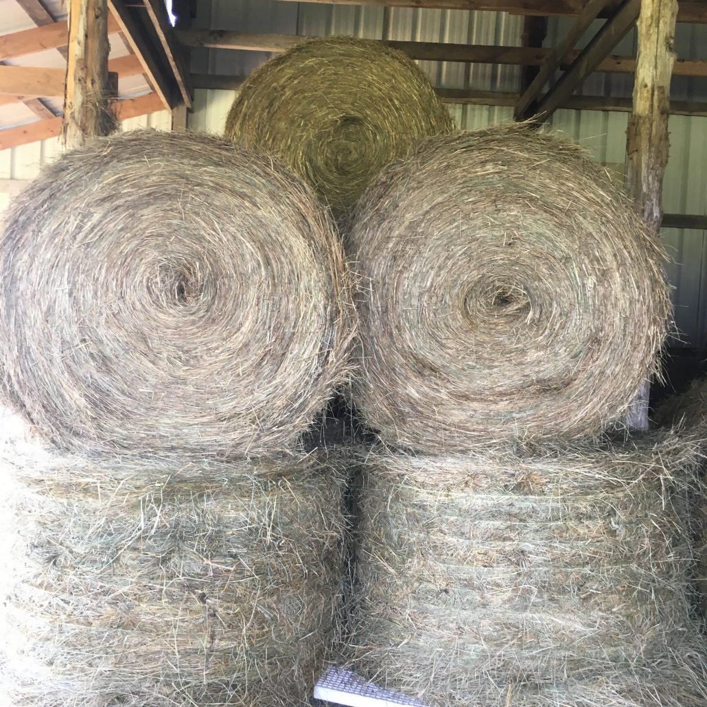 Clover Grass Mix Hay For Sale