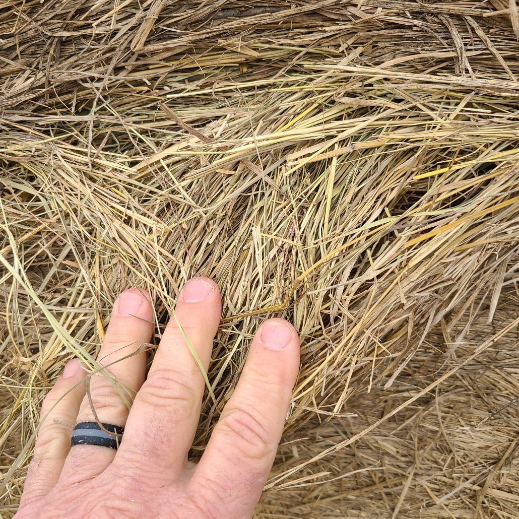 Hay For Sale in Texas