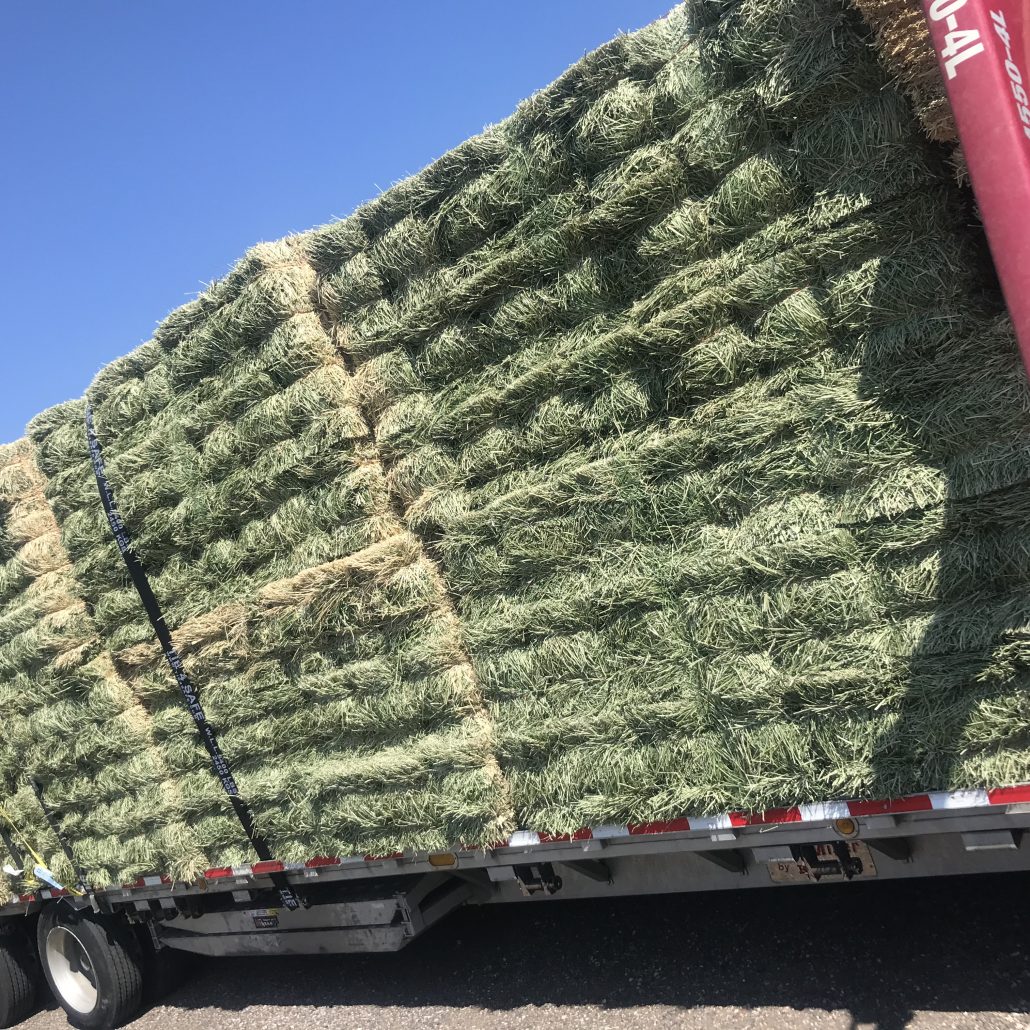 Hay For Sale in Louisiana