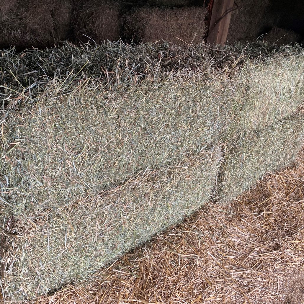 Alfalfa Grass Mix For Sale | Allhay.Com