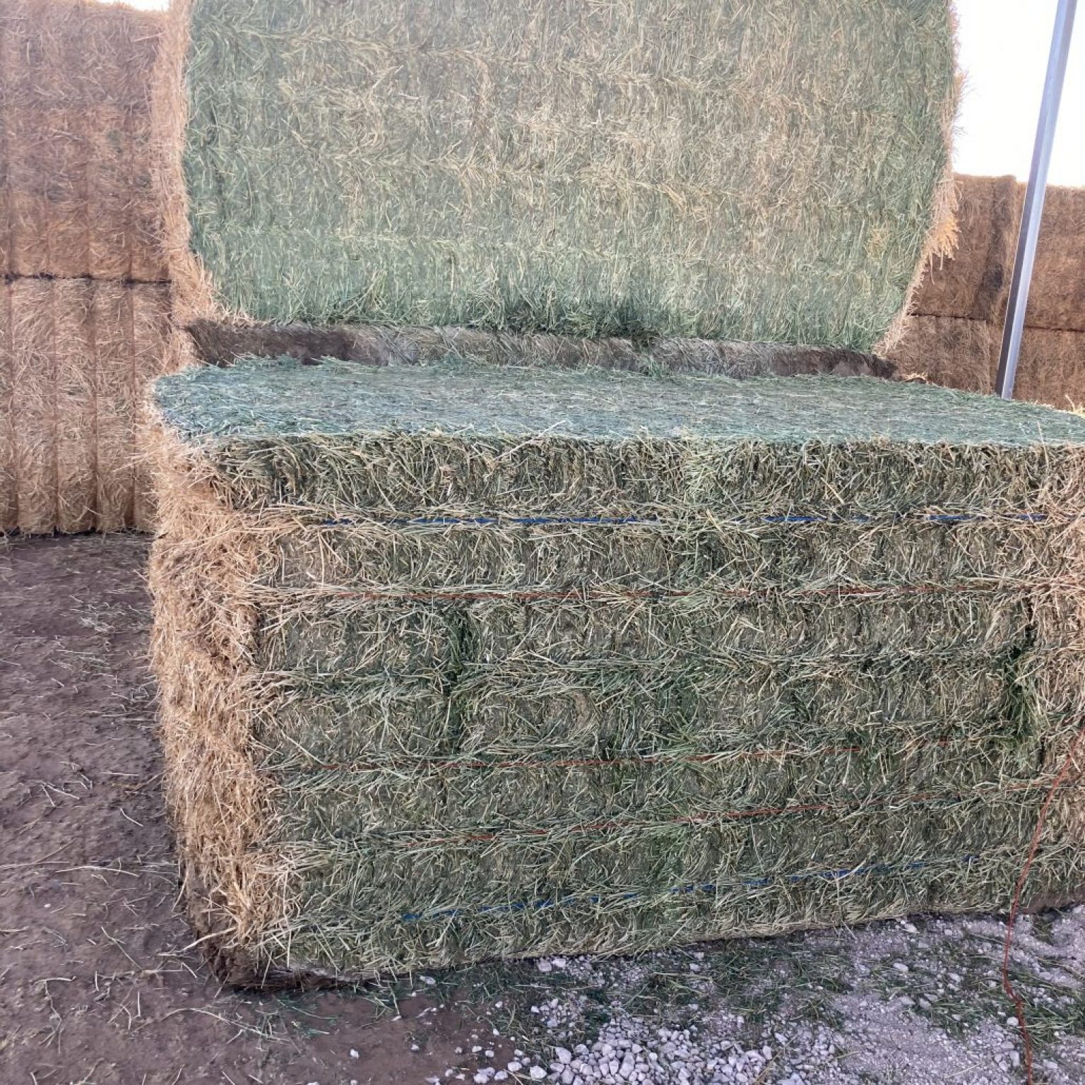 Hay For Sale in Texas
