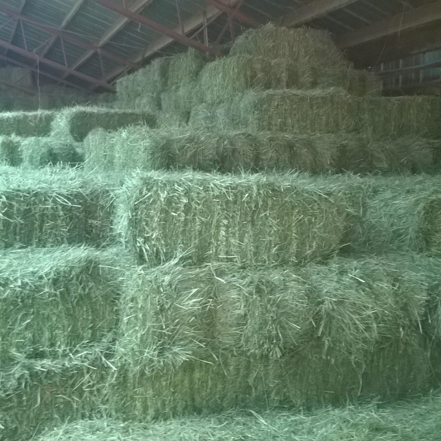 Hay For Sale in New York