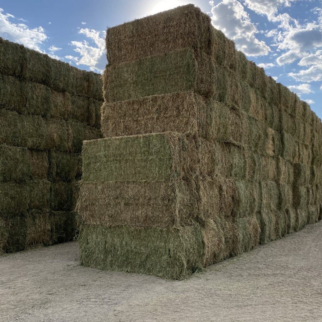 Hay For Sale in Colorado - AllHay.com