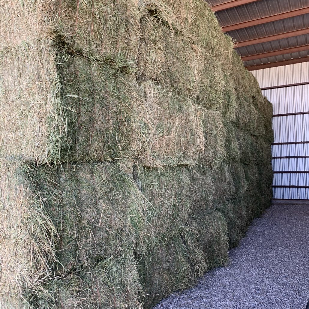 Hay For Sale in New Mexico