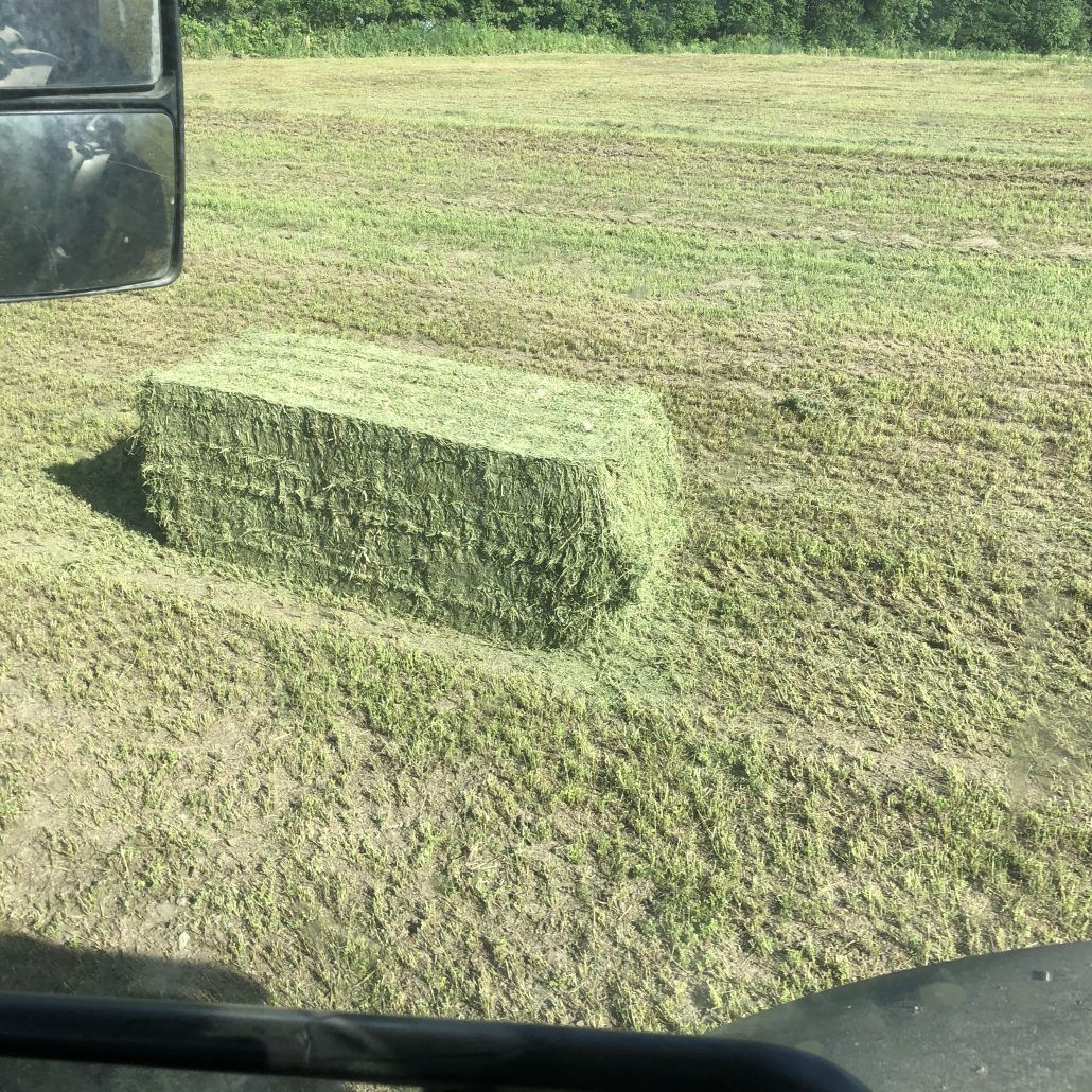 Hay For Sale in Missouri