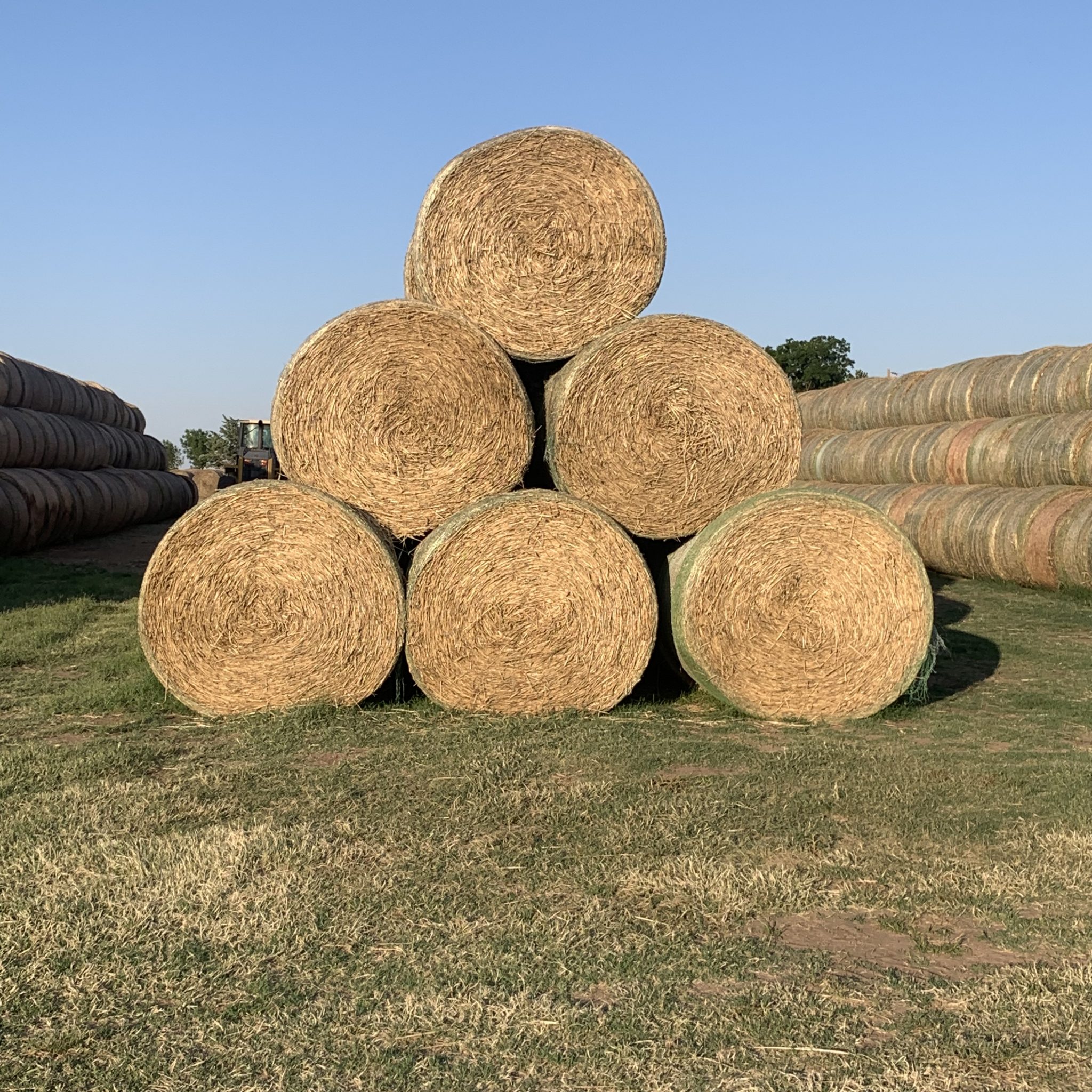 Hay For Sale in Texas