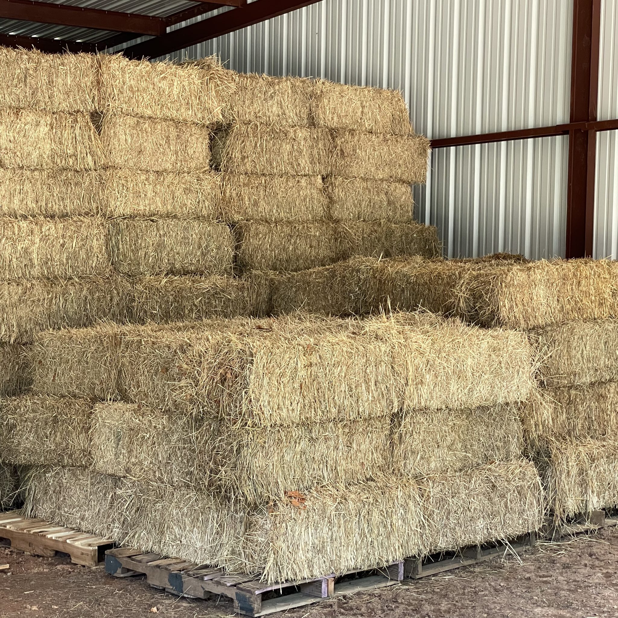 Hay For Sale in Arkansas - AllHay.com