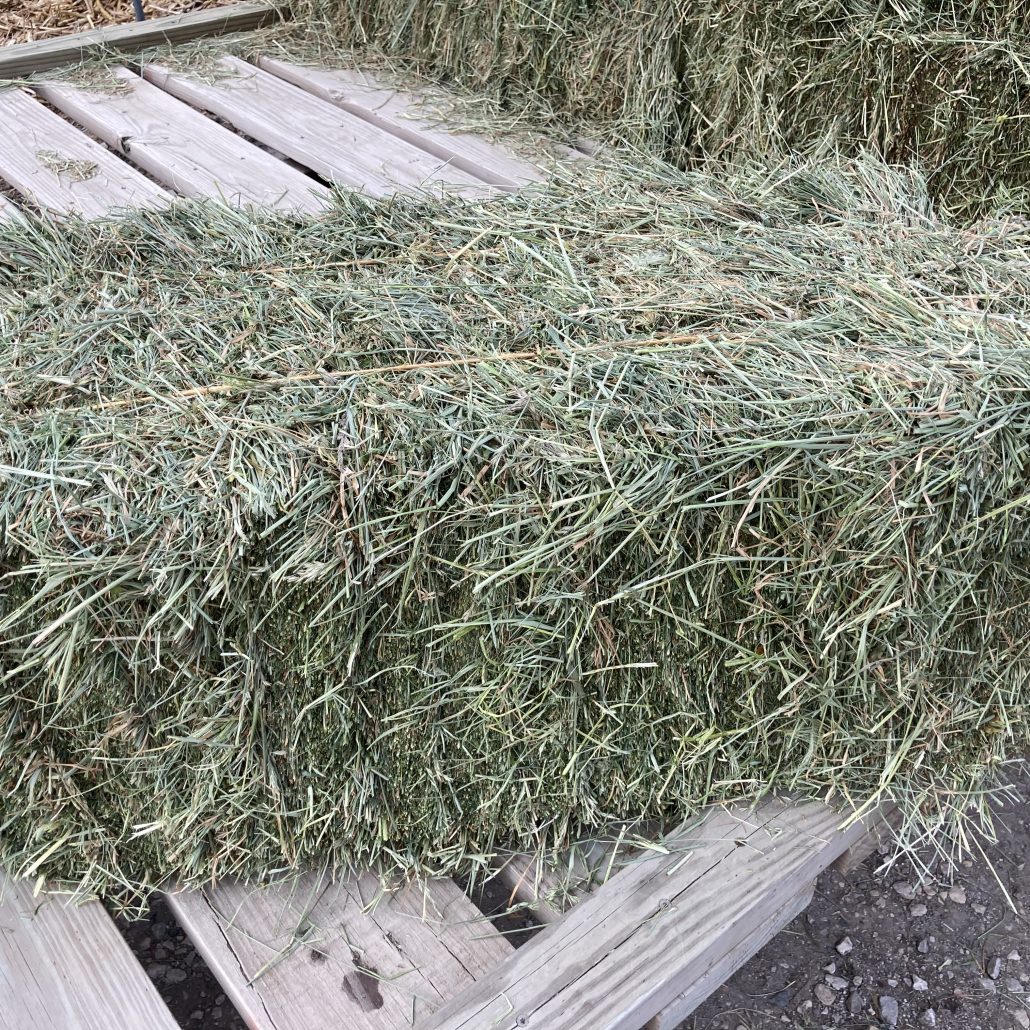 Hay For Sale in Iowa - AllHay.com