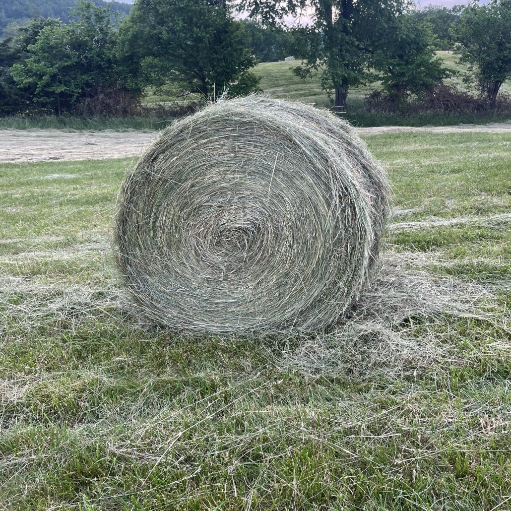 Hay For Sale in Kentucky
