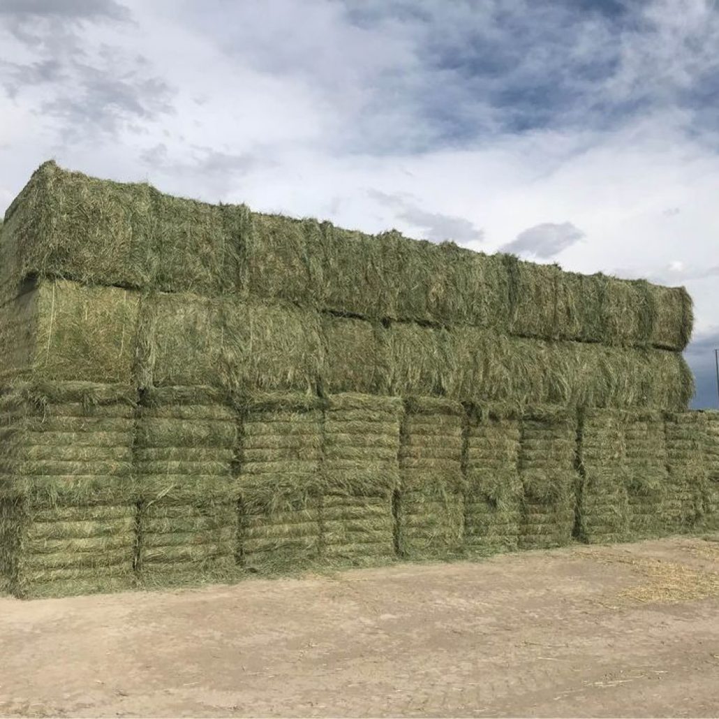 Hay For Sale in Colorado