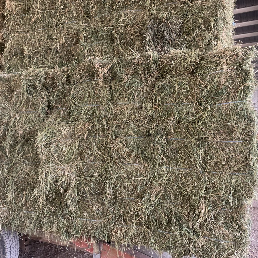 Hay For Sale in Kentucky