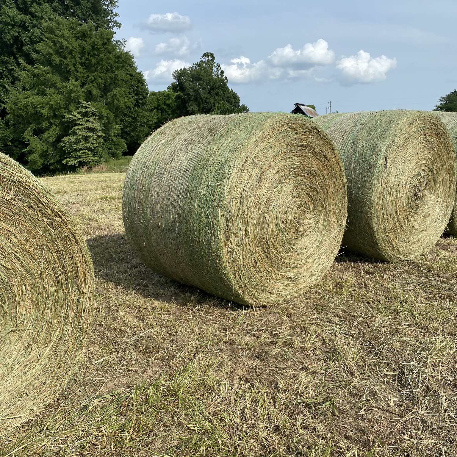 Hay For Sale in Kentucky
